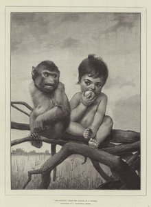 Egoisti